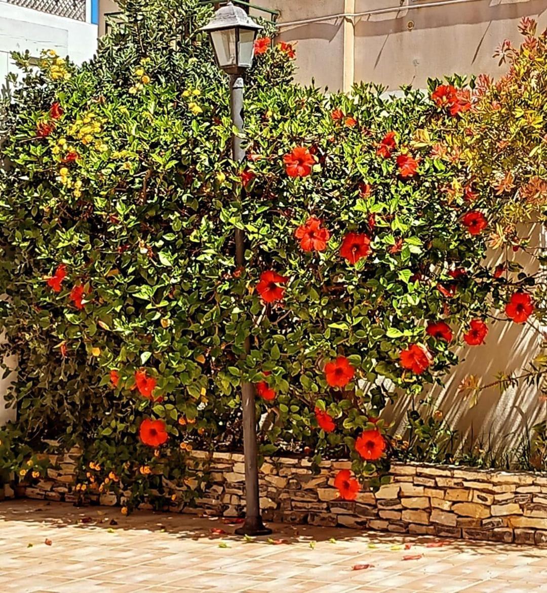Blu Vacanze Residence Favignana Eksteriør billede